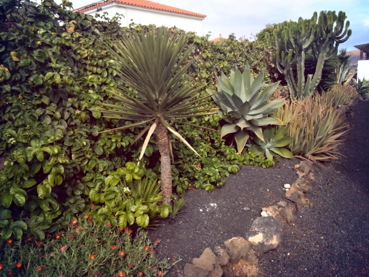 Vila Surfwhitehouse Lajares Exteriér fotografie